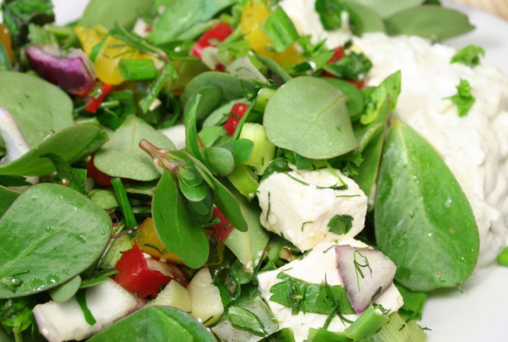Fitness salat purslani ja fetajuustuga: Tarik Rose'i retsept