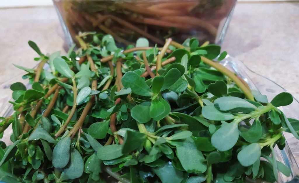 Fitness salat purslani ja fetajuustuga: Tarik Rose'i retsept