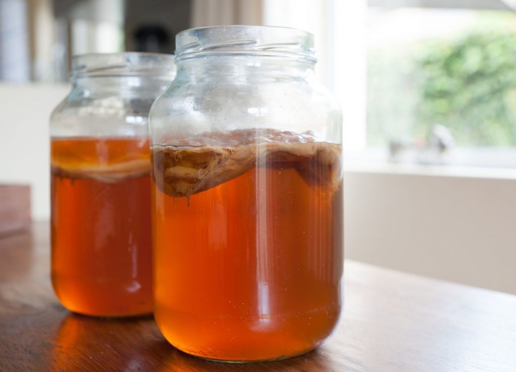 Kombucha: kas seda on tõesti hea iga päev juua?