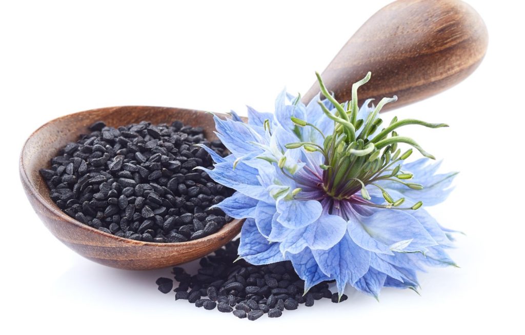 Nigella sativa