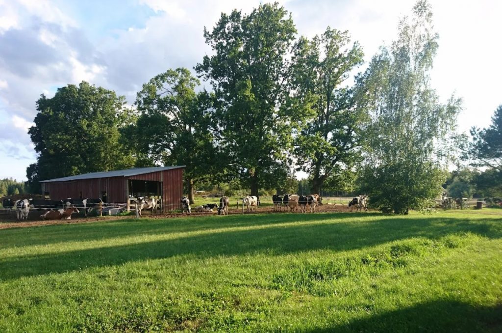 Pajumäe Farm