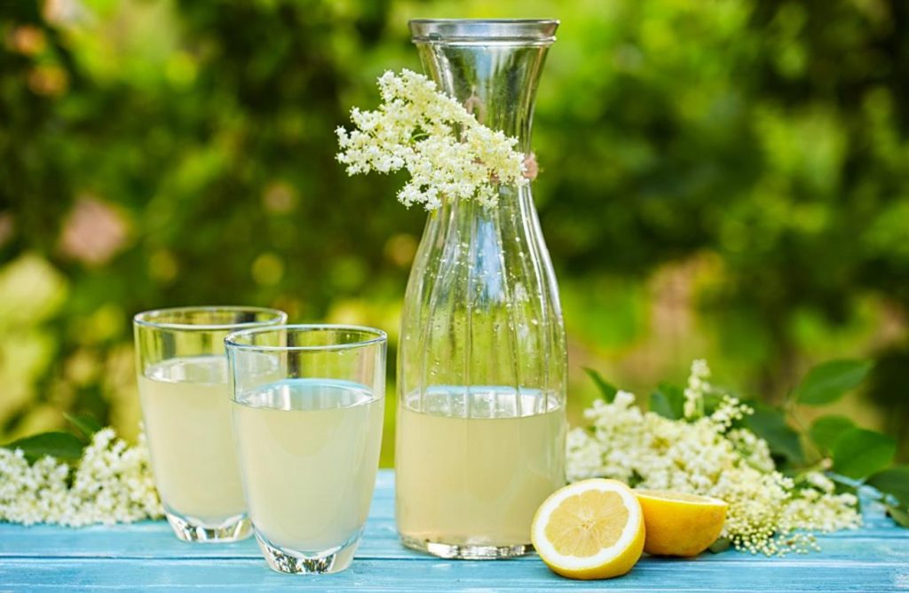 Ma lisan neid aromaatseid lilli oma kodusele limonaadile. See jook on parim värskendaja soojadel päevadel.