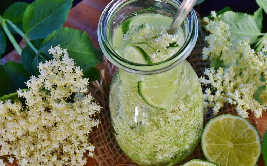 Ma lisan neid aromaatseid lilli oma kodusele limonaadile. See jook on parim värskendaja soojadel päevadel.