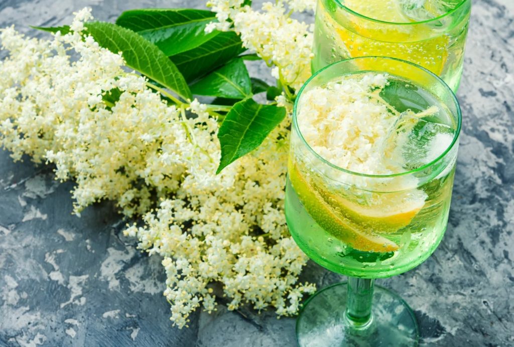 Ma lisan neid aromaatseid lilli oma kodusele limonaadile. See jook on parim värskendaja soojadel päevadel.