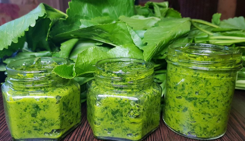 Me imetleme juurt, kuid lehed on sama terved. Need sisaldavad palju C-vitamiini ja magneesiumi ning toimivad antibiootikumina.