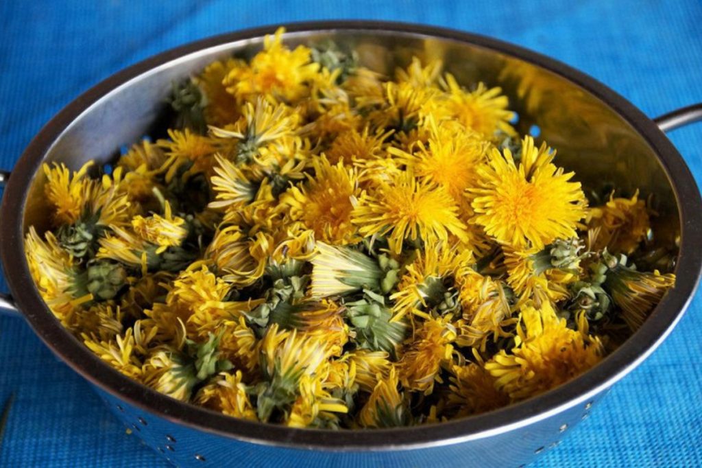 Ravitoitav pesto krõmpsuva lisandiga. Mõjub maksale nagu kaitsev vihmavari, aitab seedimisel