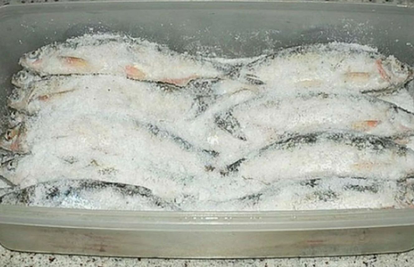 Kuidas kuivatada kala kodus