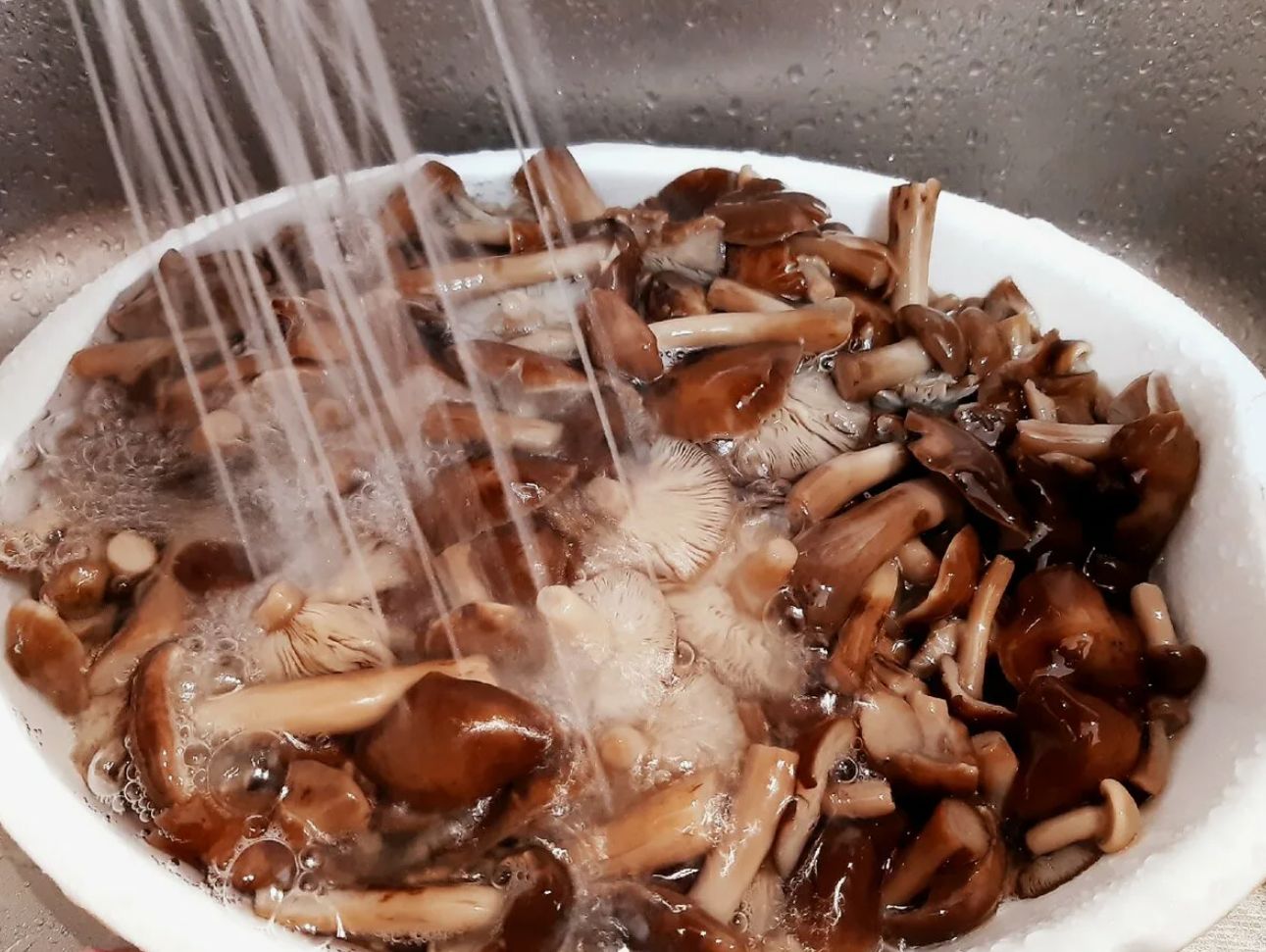 Marineeritud mesi seened: seenede delikatess, mis ei maksa peaaegu midagi