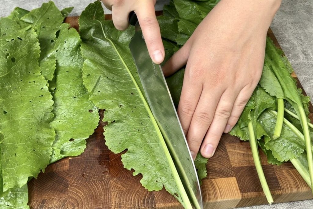 Me imetleme juurt, kuid lehed on sama terved. Need sisaldavad palju C-vitamiini ja magneesiumi ning toimivad antibiootikumina.