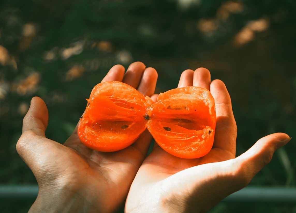 Kaki – magus puuvili, mis rõõmustab oma mitmekülgsusega: vaata maitsvaid retsepte!