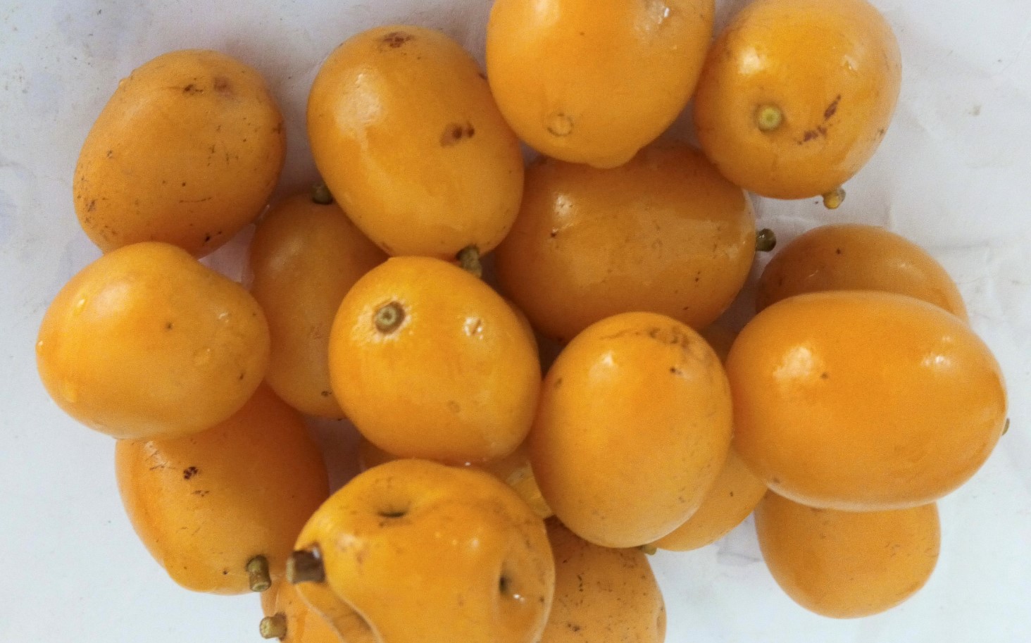 See eksootiline ploom maitseb nagu mango, aprikoosi ja laimi segu. See puhastab organismi, noorendab ja tugevdab immuunsüsteemi.
