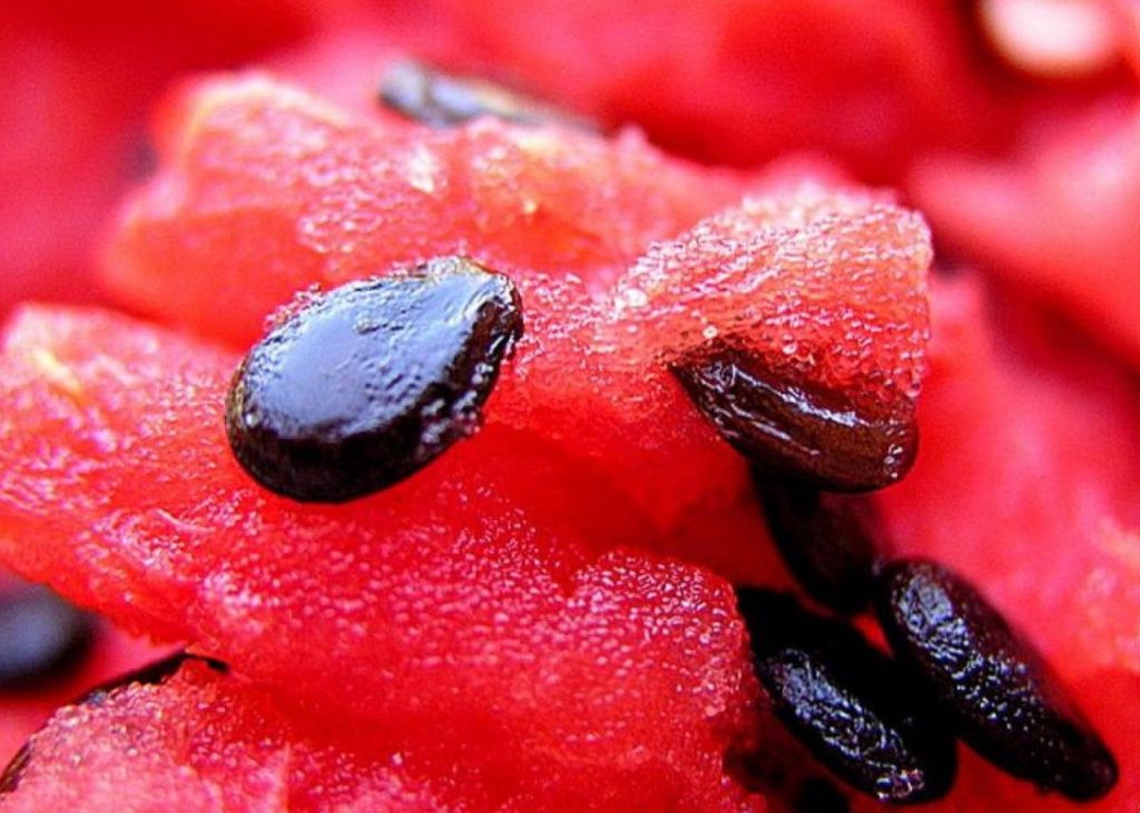 Ärge visake arbuusiseemneid ära – väikesest kogusest saate üllatavalt palju kasulikke aineid.