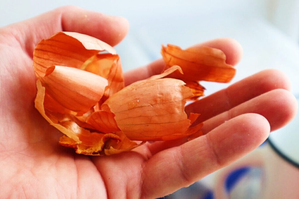 Kõik viskavad sibulakoored ära, kuigi neist saab teha midagi väga head