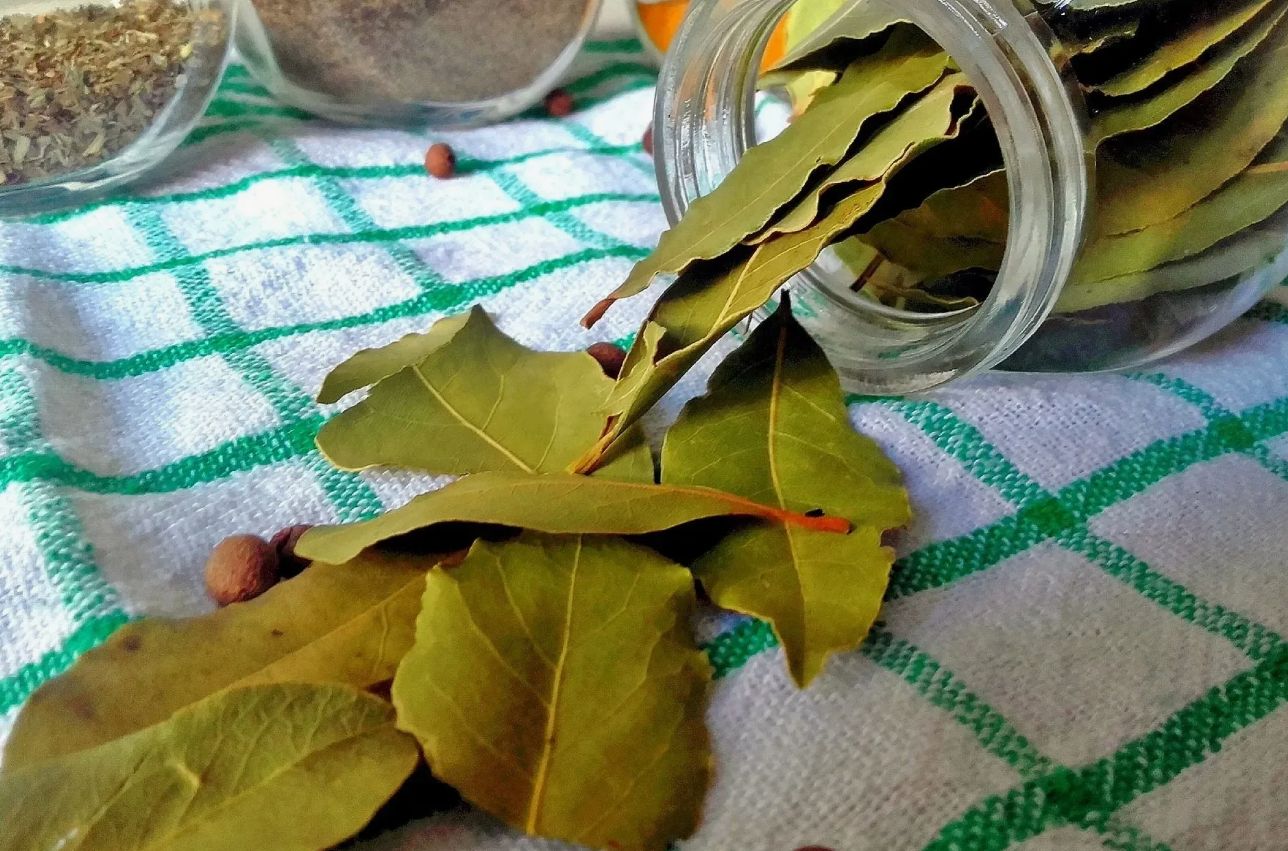 Miks kartulit koos loorberilehega keeta: lihtne trikk, mis muudab kartuli eriti aromaatseks lisandiks