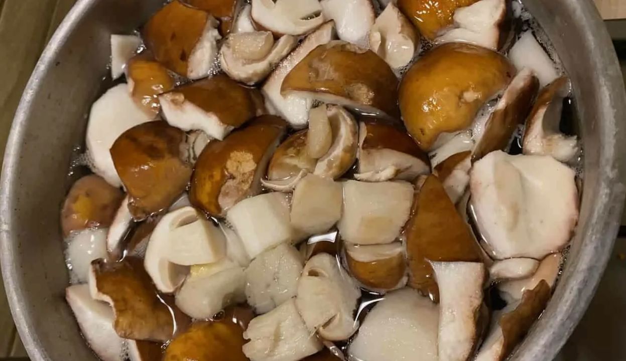 Kuidas külmutada seeni talveks: 3 viisi