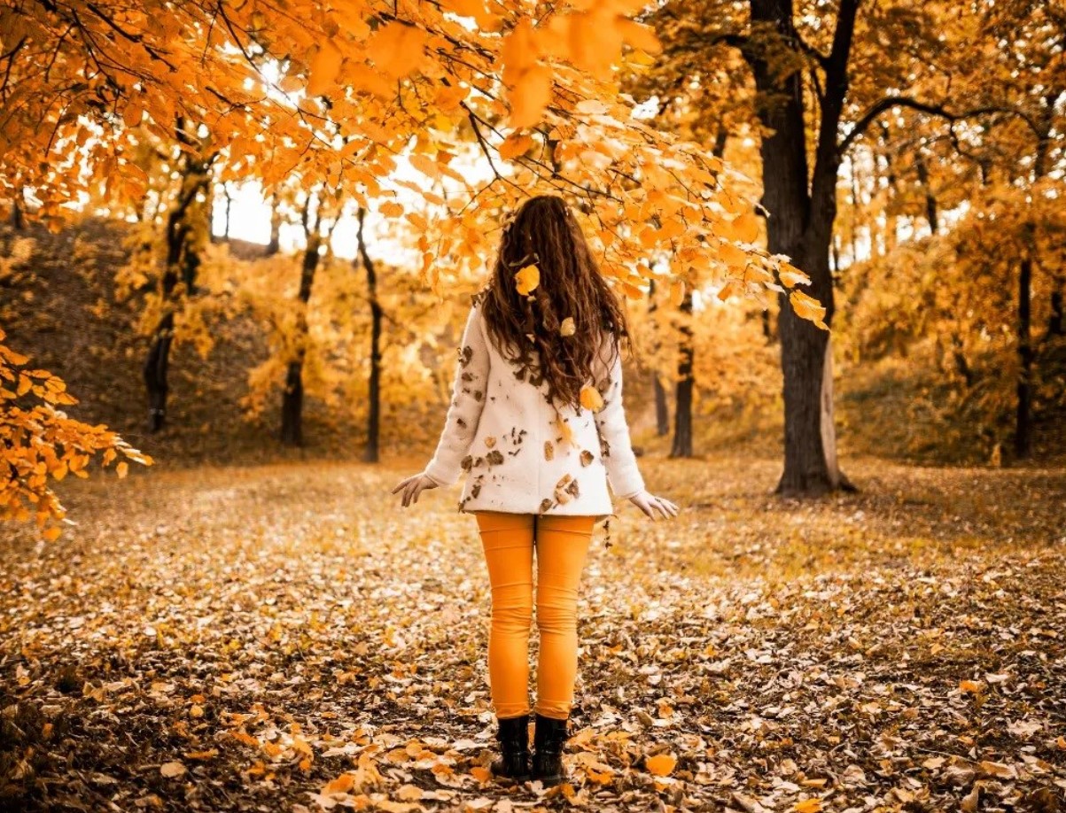 Kodune rohelus: taimed õnne ja rahu jaoks teie laual