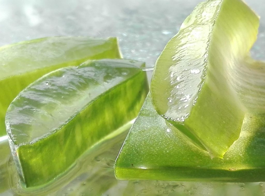 Aloe vera smuuti: tervislik jook, mis rahustab seedimist ja kiirendab ainevahetust