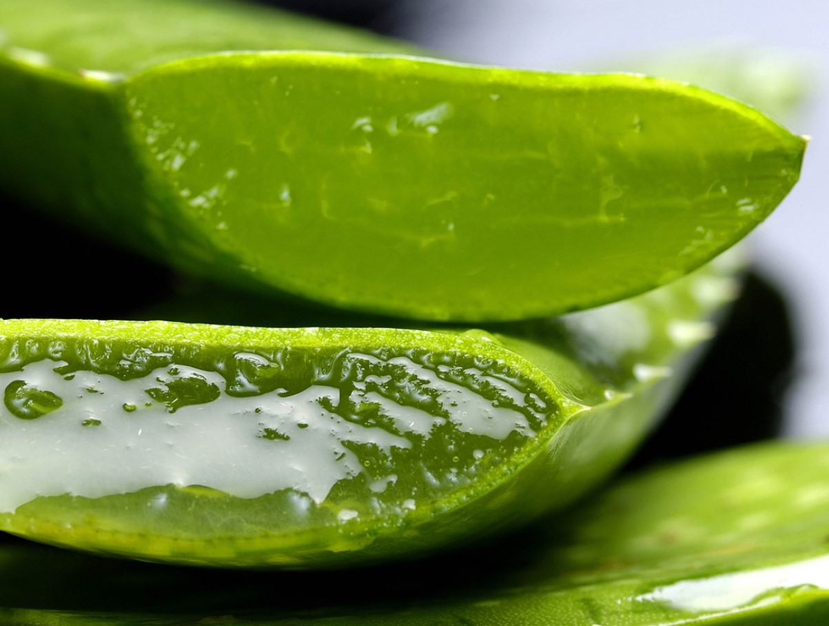 Aloe vera smuuti: tervislik jook, mis rahustab seedimist ja kiirendab ainevahetust