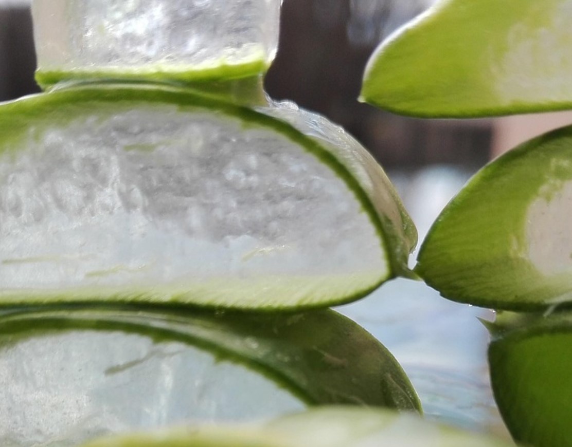 Aloe vera smuuti: tervislik jook, mis rahustab seedimist ja kiirendab ainevahetust