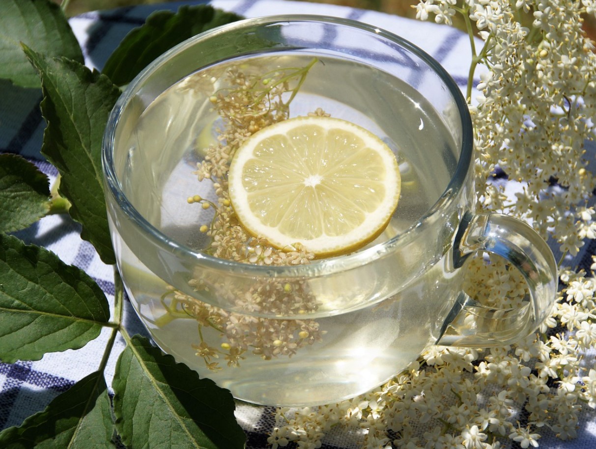 Kuidas valmistada leedrimarja teed – 4 viisi