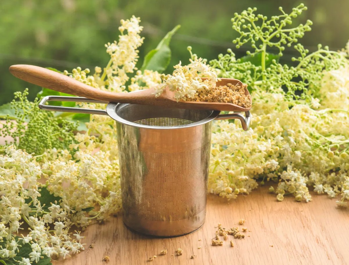 Kuidas valmistada leedrimarja teed – 4 viisi