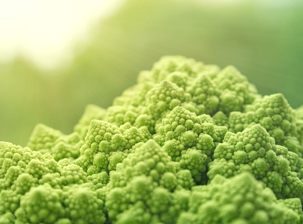 See näeb eksootiline välja, nii et me vaatame seda lihtsalt uudishimulikult. Samal ajal on see hea luudele, ilusale nahale ja kõrge vererõhule