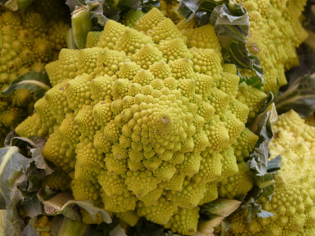 See näeb eksootiline välja, nii et me vaatame seda lihtsalt uudishimulikult. Samal ajal on see hea luudele, ilusale nahale ja kõrge vererõhule