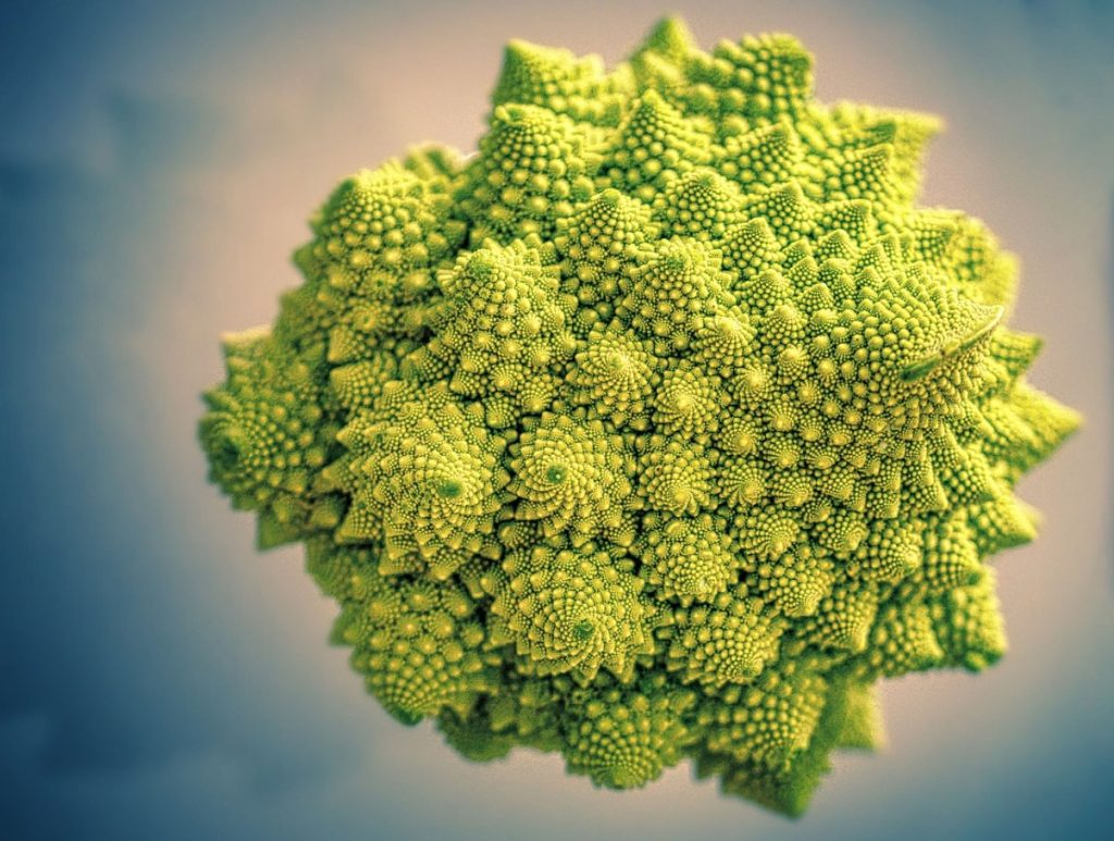 See näeb eksootiline välja, nii et me vaatame seda lihtsalt uudishimulikult. Samal ajal on see hea luudele, ilusale nahale ja kõrge vererõhule