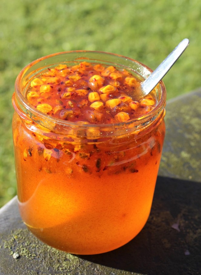 Varuge purke, sest varsti lõpeb selle viljakandvus. Talvel on seda parem lisada teele kui mett ja sidrunit.