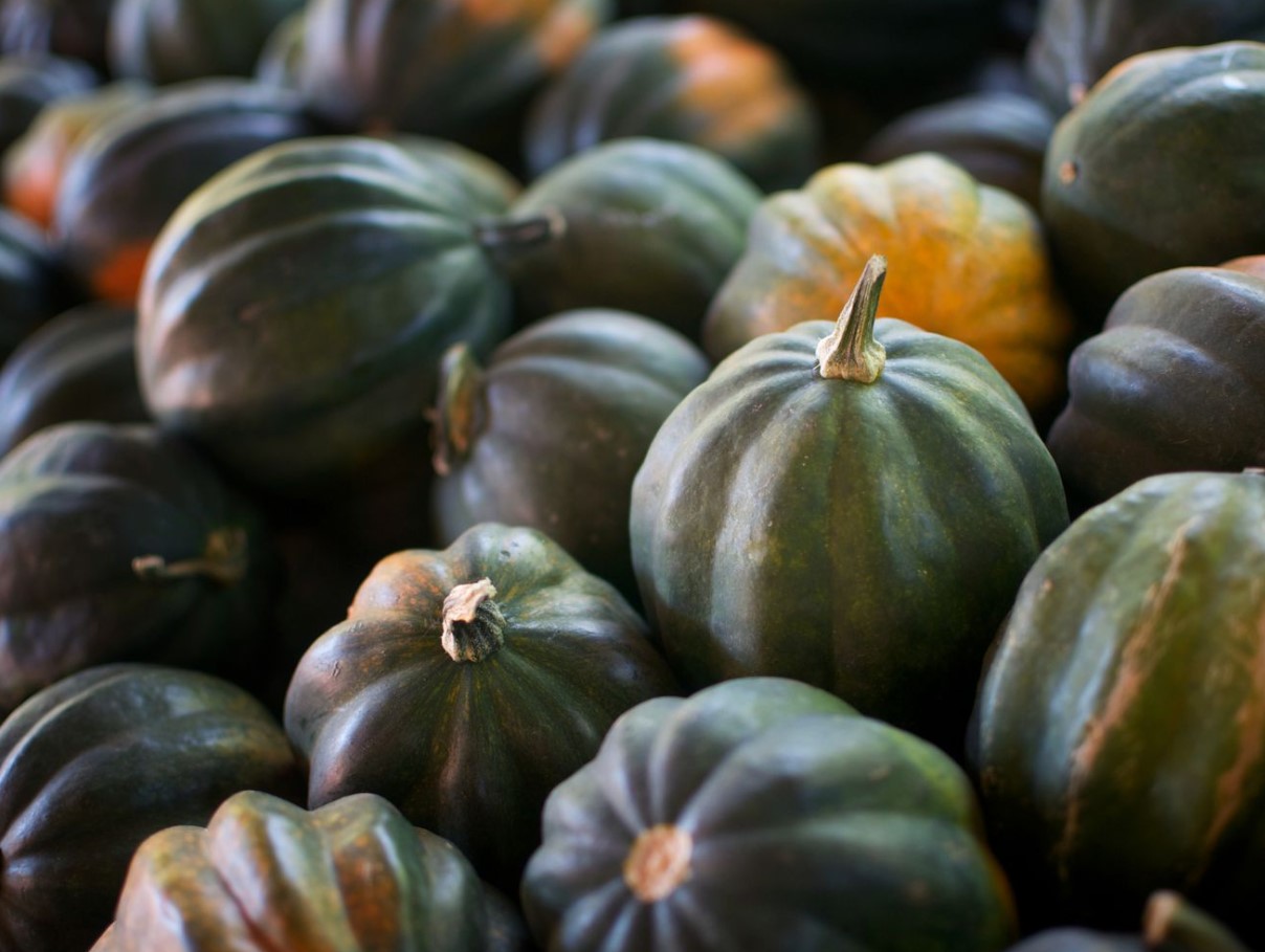 Hirmuäratavalt maitsev: kuidas valmistada kõrvitsat (mitte ainult halloweeniks)