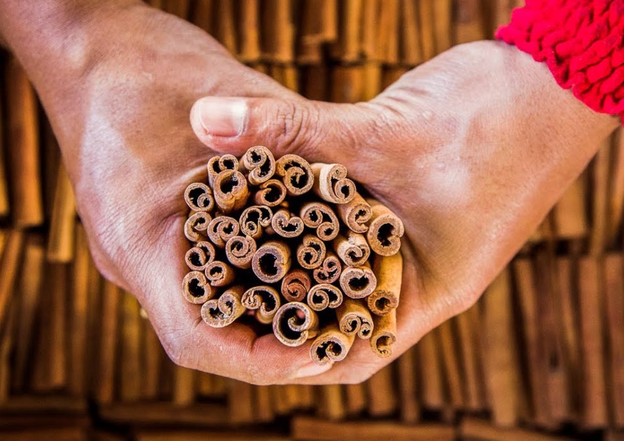 Mürgine üllatus vürtsiriiulil. Mida kaneel tegelikult varjab – ja miks on see oluline teada