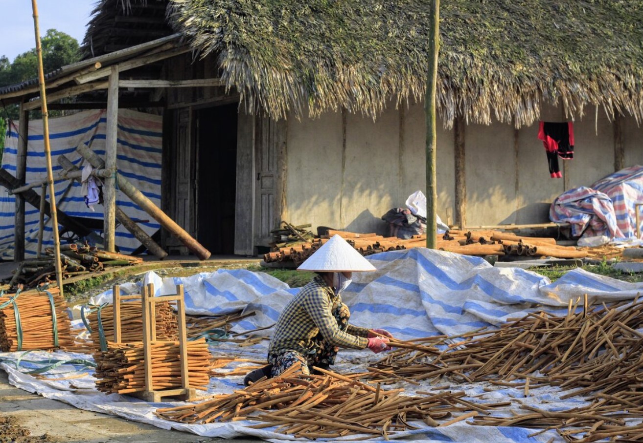 Mürgine üllatus vürtsiriiulil. Mida kaneel tegelikult varjab – ja miks on see oluline teada