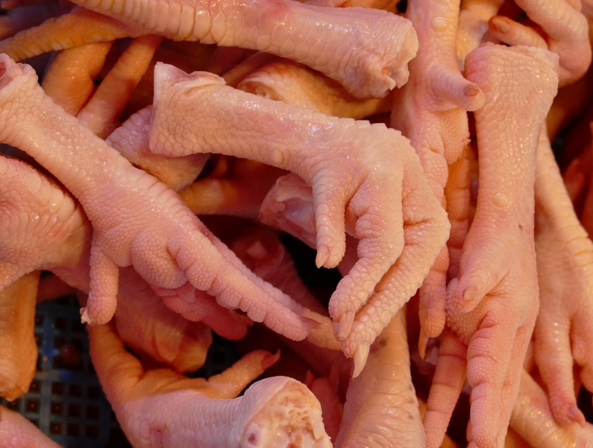 Mõned peavad neid maiuspalaks, teised pööravad pilgu kõrvale. See on kahetsusväärne, sest tegemist on unikaalse kollageeni allikaga.