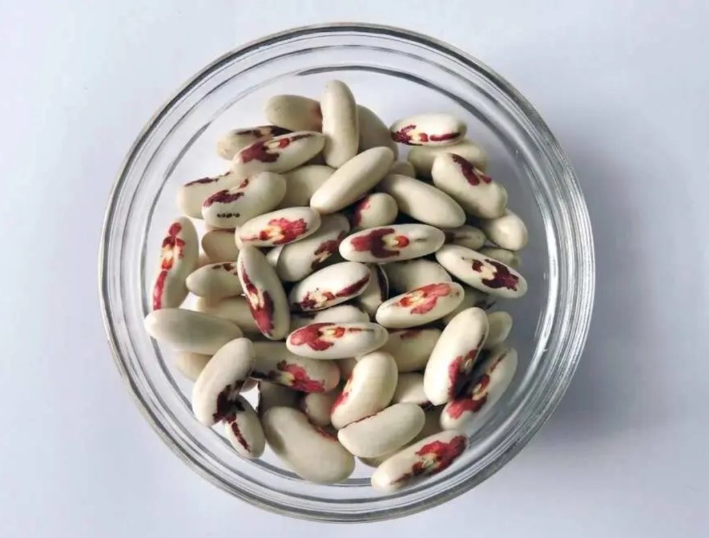 Selle kasvatamine oli keelatud, kuid täna valmistame seda uhkelt. Pool tassi sisaldab sama palju valku kui 100 g kalkunit.