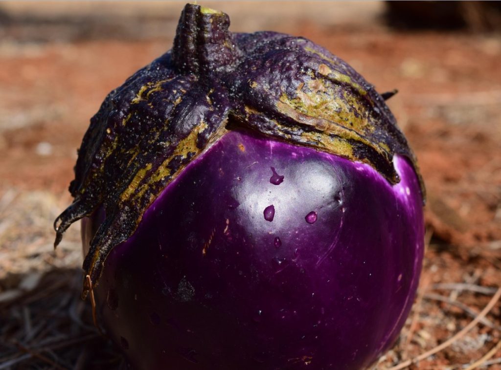 Unusta mozzarella — see baklažaan on uus tähetoit