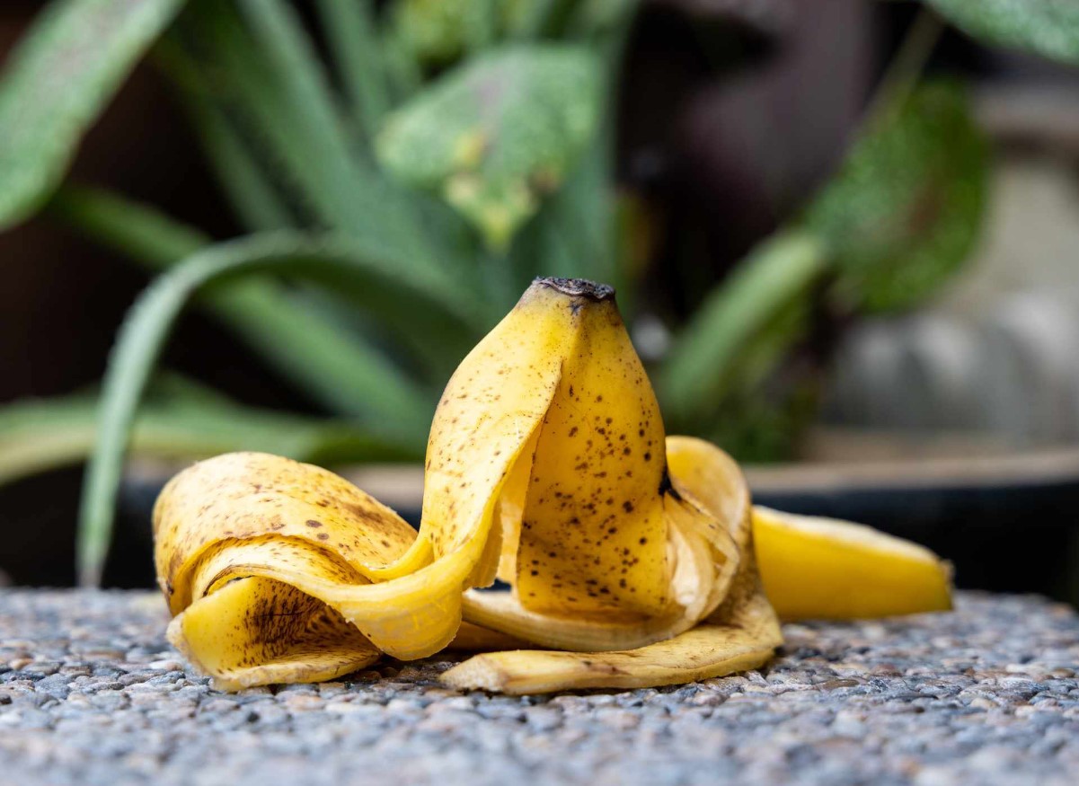 Unustatud saladus kingade läikeks: miks kingi banaanikoorega hõõruti