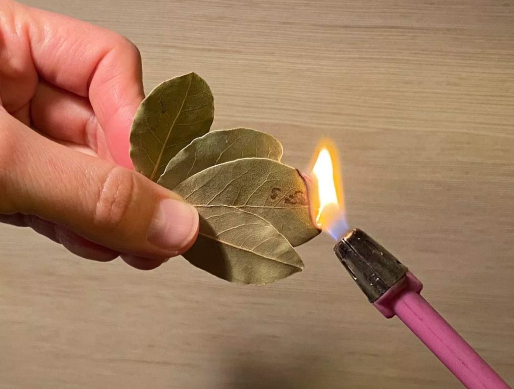 Süüdake loorberileht ja vaadake, mis juhtub teie koduga.