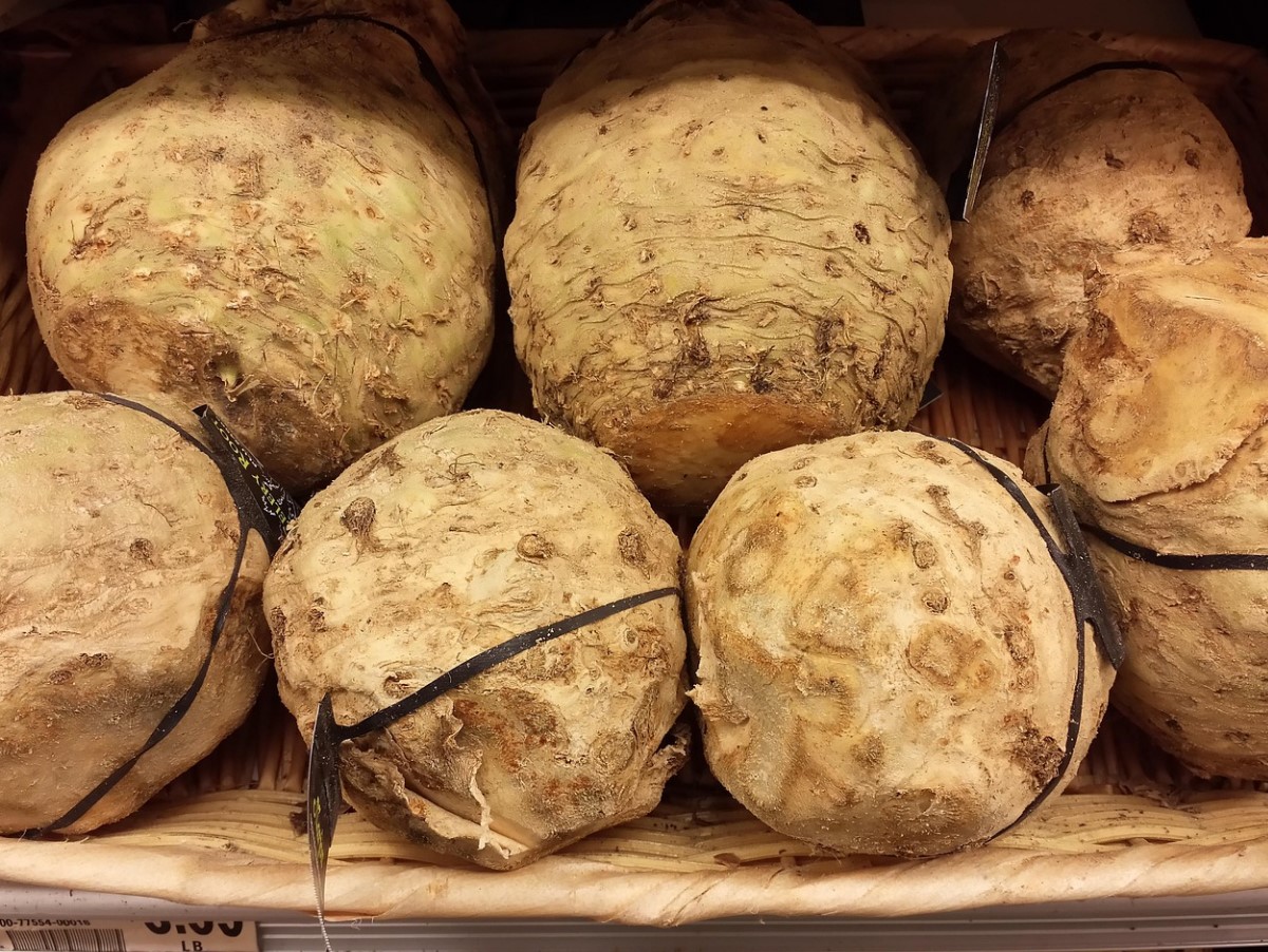 See peaks olema kohustuslik üle 60-aastaste inimeste toidus. See leevendab põletikke, toetab südame tööd ja aitab kaalust alla võtta.