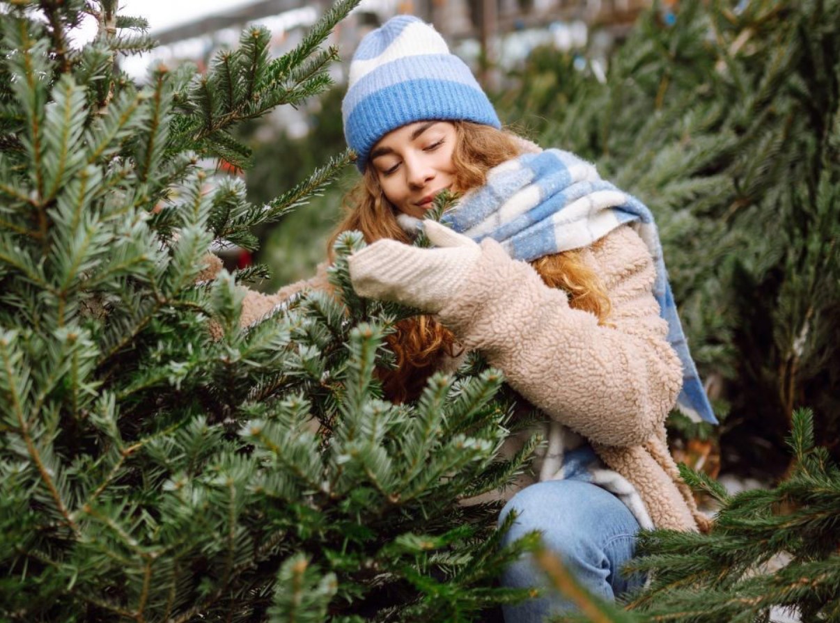 Millal tuleks jõulupuu üles panna?