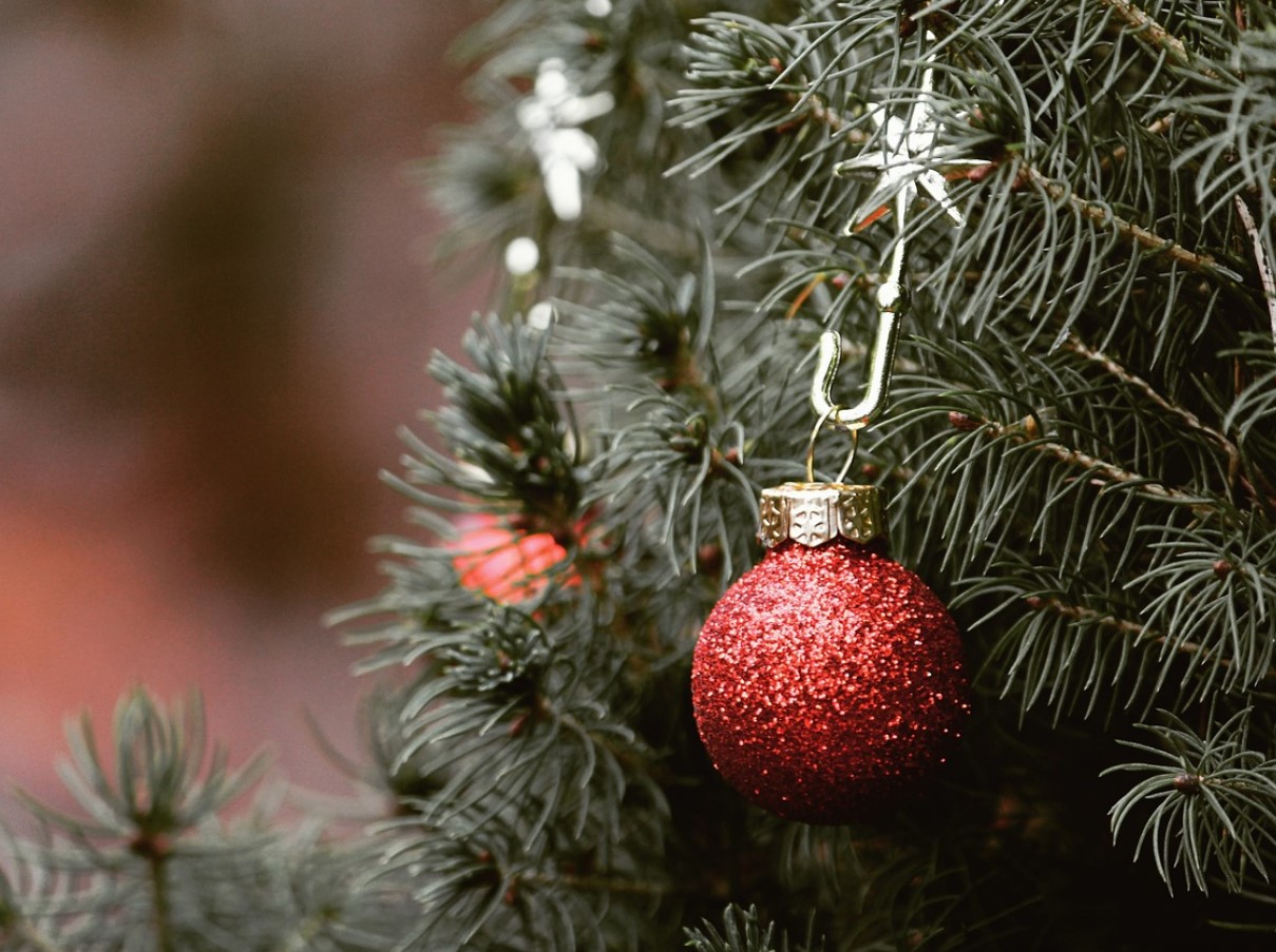 Millal tuleks jõulupuu üles panna?