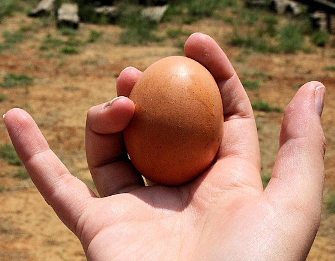 Munadieet on jälle moes – 2 nädalaga saab kaotada mitu kilo