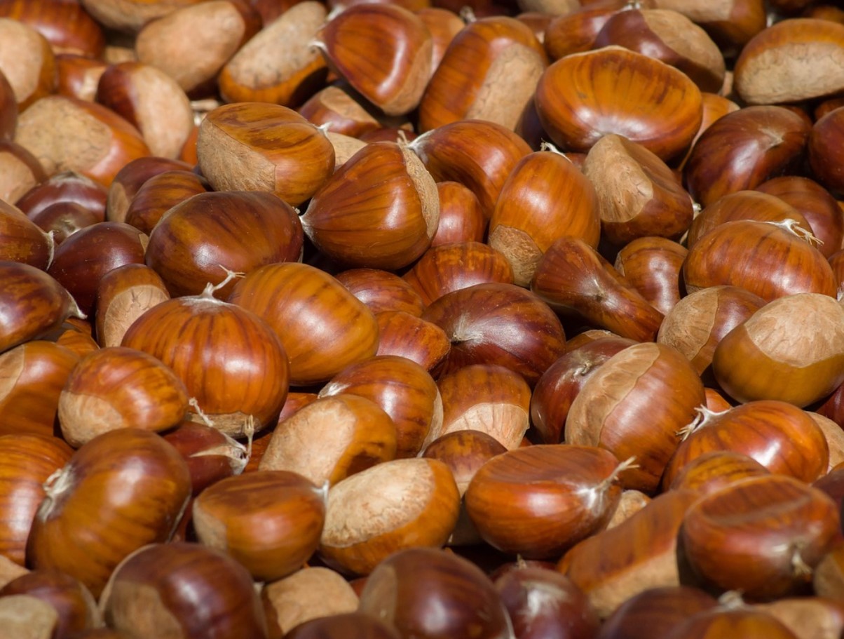 Jõulune aroom: kiiresti mikrolaineahjus küpsetatud kastanid