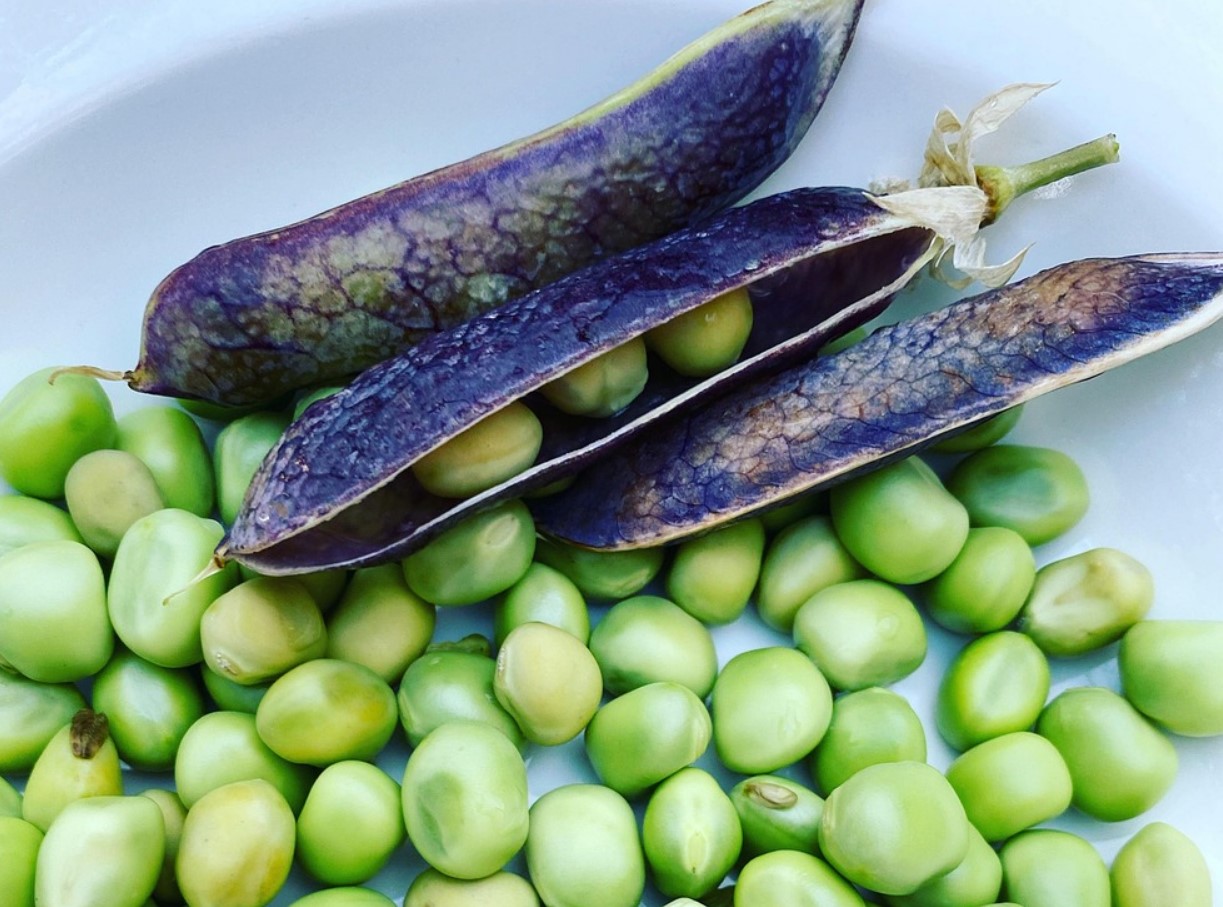 Asenda avokaado odavama ja maitsvama köögiviljaga. See maitsev pasta asendab sinu päevase valgu normi.