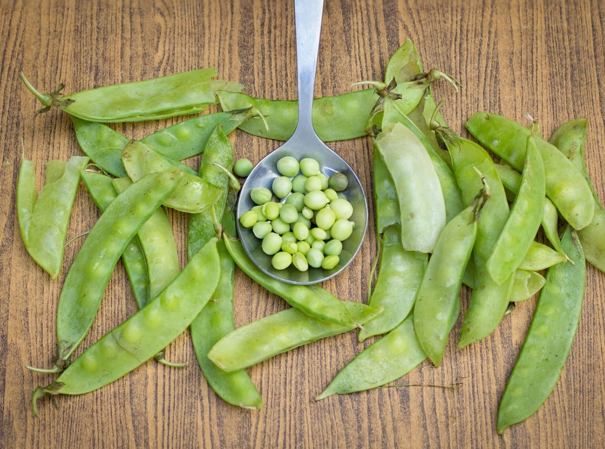 Asenda avokaado odavama ja maitsvama köögiviljaga. See maitsev pasta asendab sinu päevase valgu normi.