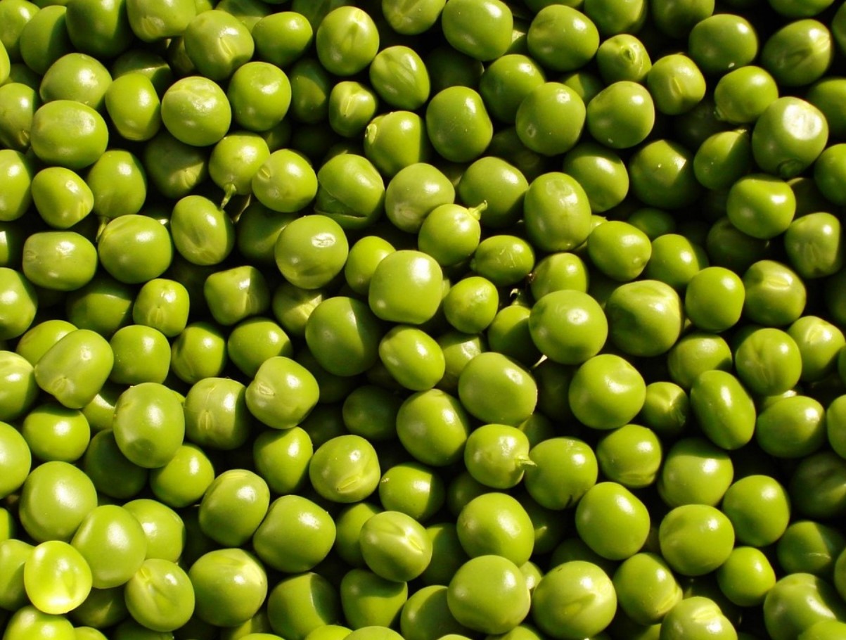 Asenda avokaado odavama ja maitsvama köögiviljaga. See maitsev pasta asendab sinu päevase valgu normi.