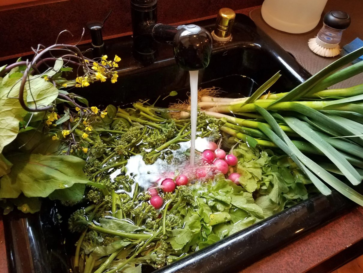 Millal lisada salatile rohelist: värskuse saladus, mida teavad ainult kokad