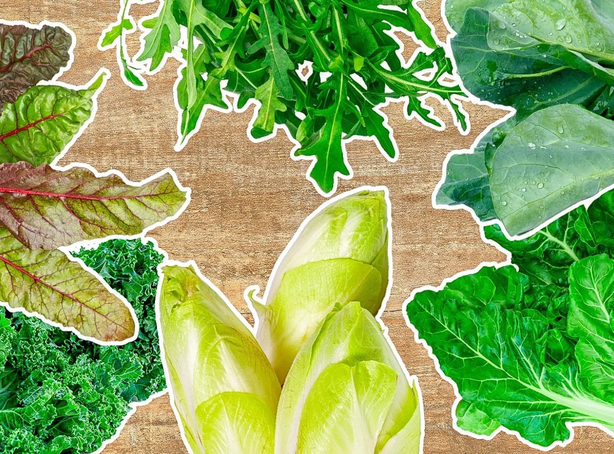 Millal lisada salatile rohelist: värskuse saladus, mida teavad ainult kokad
