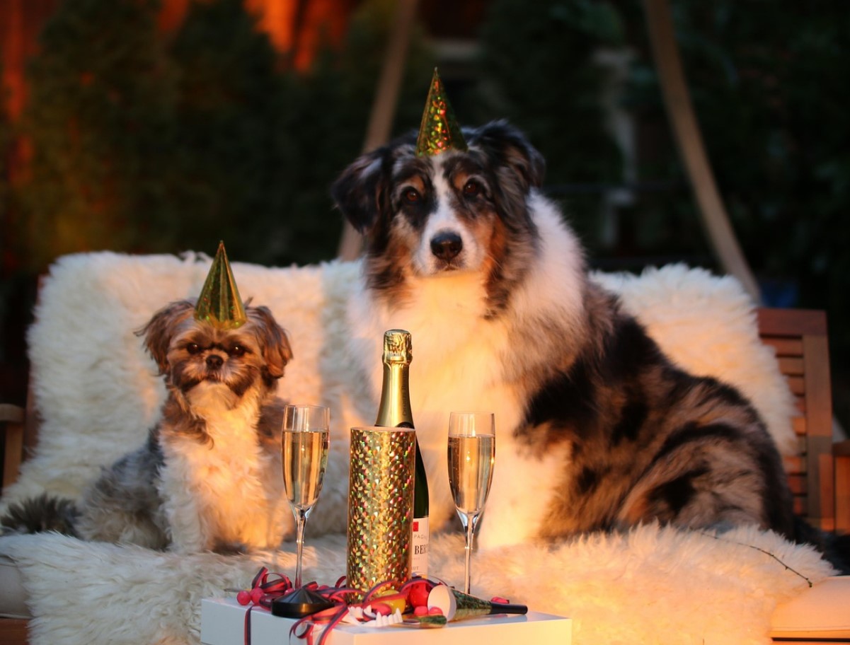 Juhend, kuidas saada ideaalseks peremeheks sel jõuluõhtul