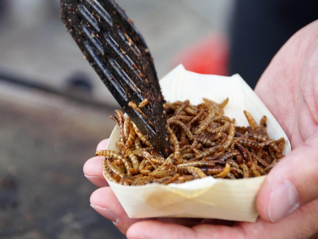 Kui palju valku on ohutu süüa?