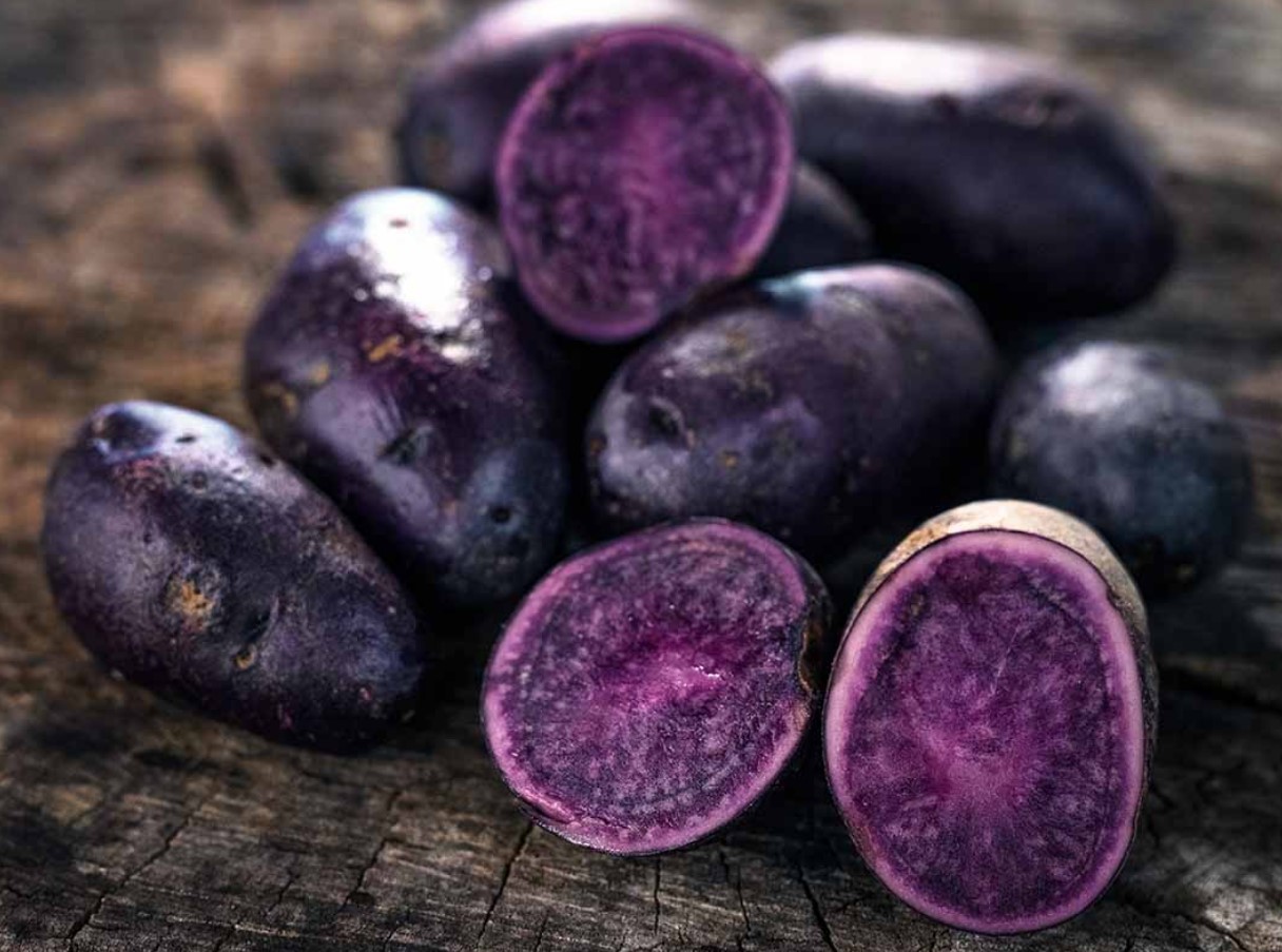 Poola kuningas Jan III Sobieski armastas neid. Need on antioksüdantide allikas, rikkad kaaliumi ja magneesiumiga ning alandavad vererõhku.